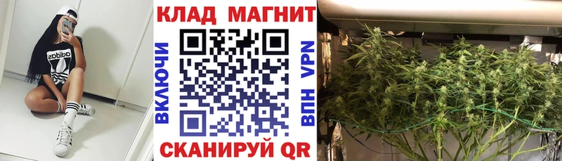 APVP Грозный