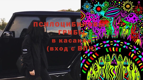 метадон Богданович