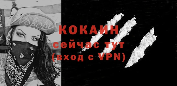 метадон Богданович