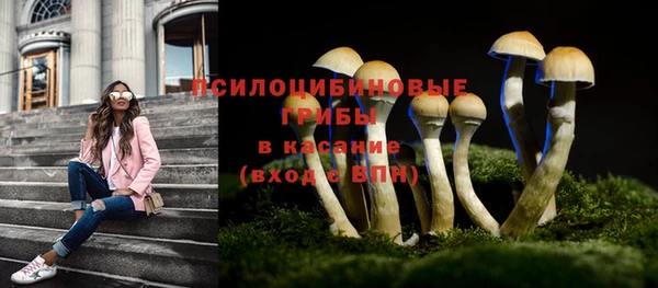 метадон Богданович