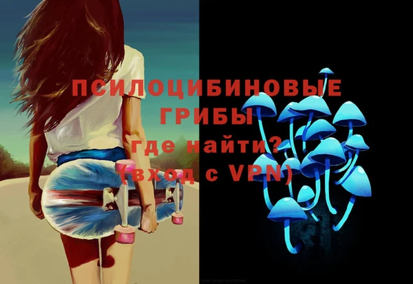 метадон Богданович