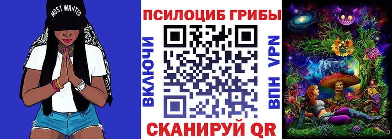 KRAKEN tor  Грозный  Галлюциногенные грибы мухоморы 